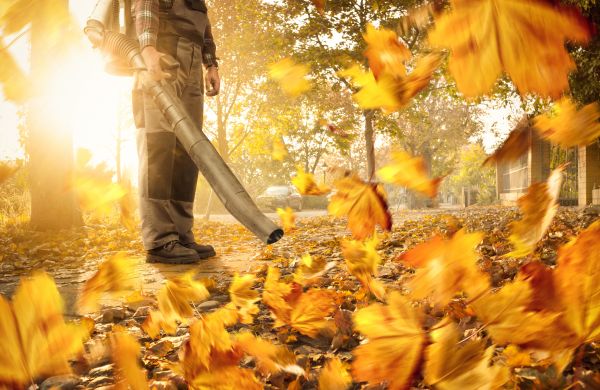 Cost of Leaf Blowing Service in Spokane