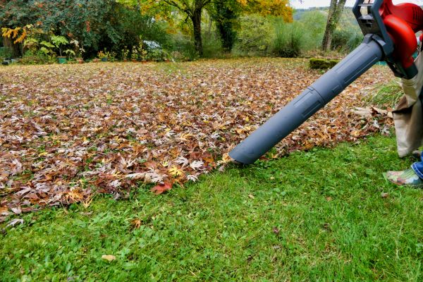 Cost of Leaf Vacuuming Service in Spokane