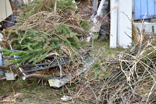 Cost of Yard Debris Removal in Spokane