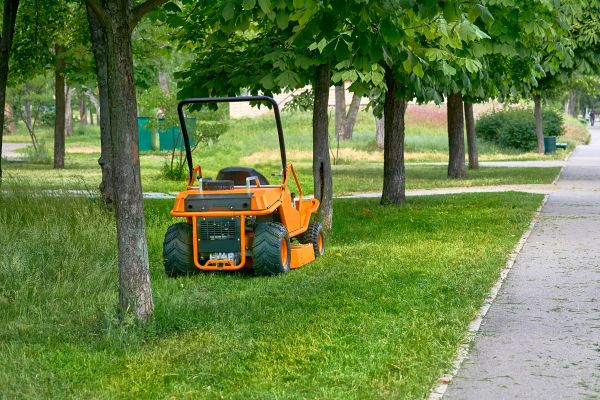Cost of Landscaping Cleanup Service in Spokane