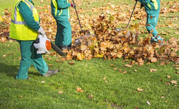 Cost of Leaf Maintenance in Spokane