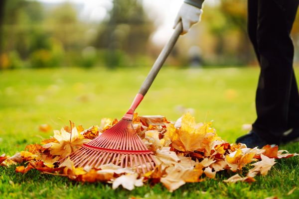 Cost of Ditch Leaf Removal in Spokane