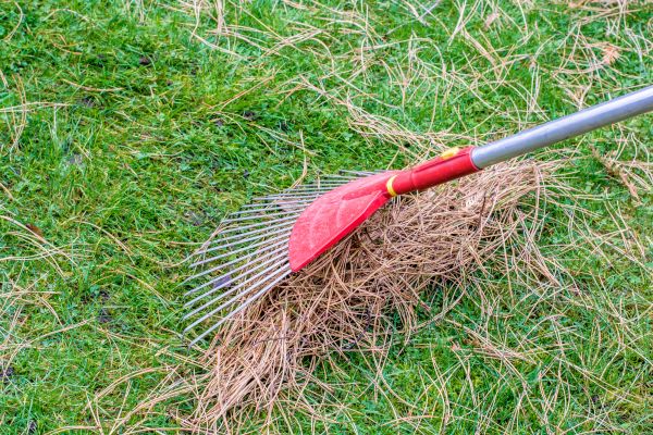 Cost of Yard Raking in Spokane