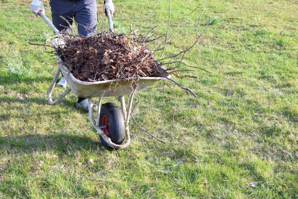 Cost of Yard Brush Removal in Spokane