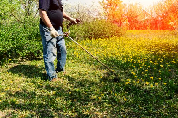 Cost of Yard Clearing Service in Spokane
