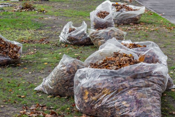 Cost of Leaf Pile Disposal in Spokane