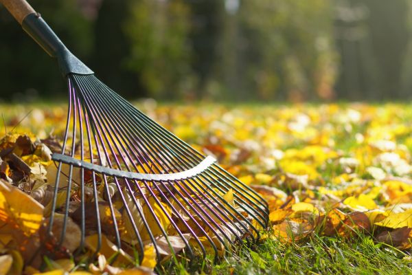 Cost of Leaf Removal in Spokane