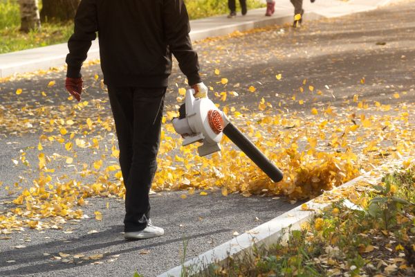 Cost of Commercial Leaf Removal in Spokane