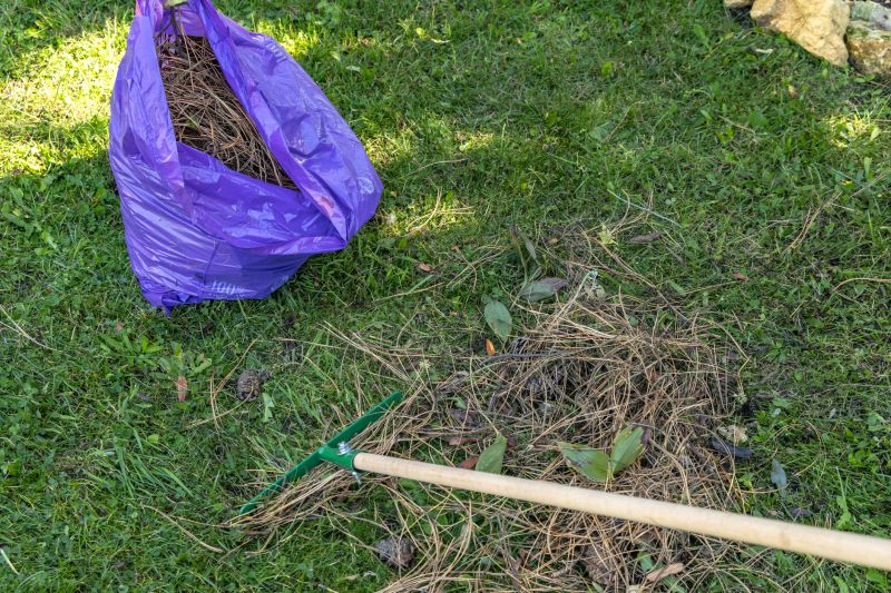 Leaf Cleanup Equipment